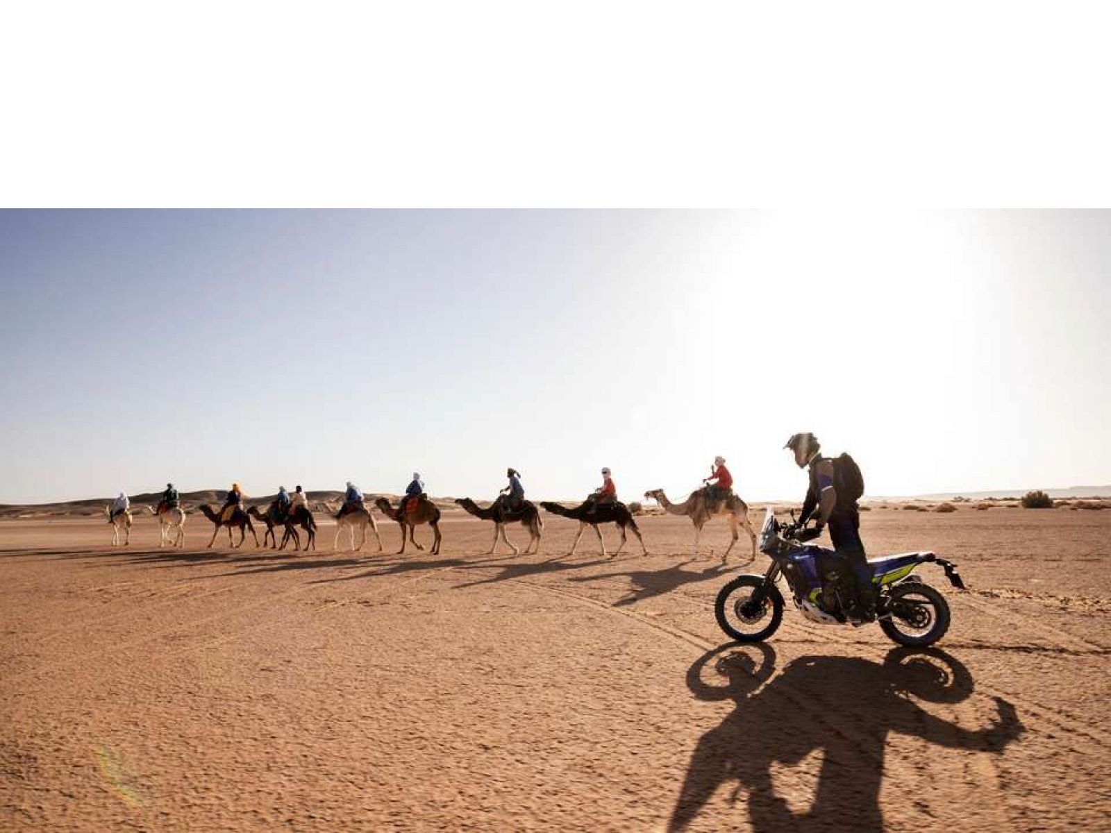 Мотоцикл YAMAHA Tenere 700 World Raid (Icon Blue) 2024